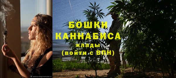 трава Абаза
