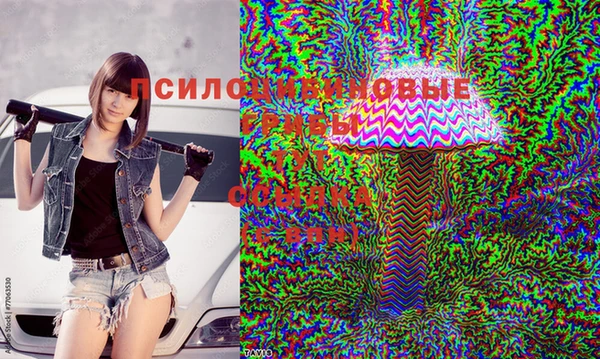 трава Абаза