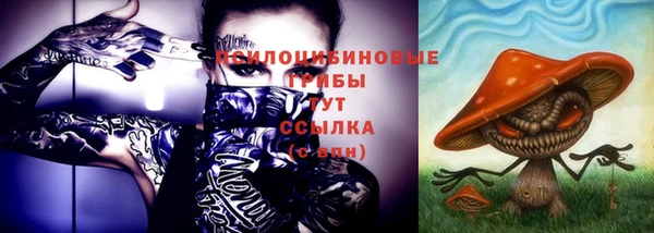 дмт Абинск