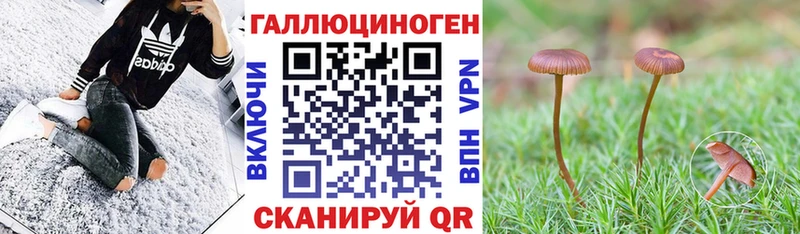 Псилоцибиновые грибы прущие грибы Юрга