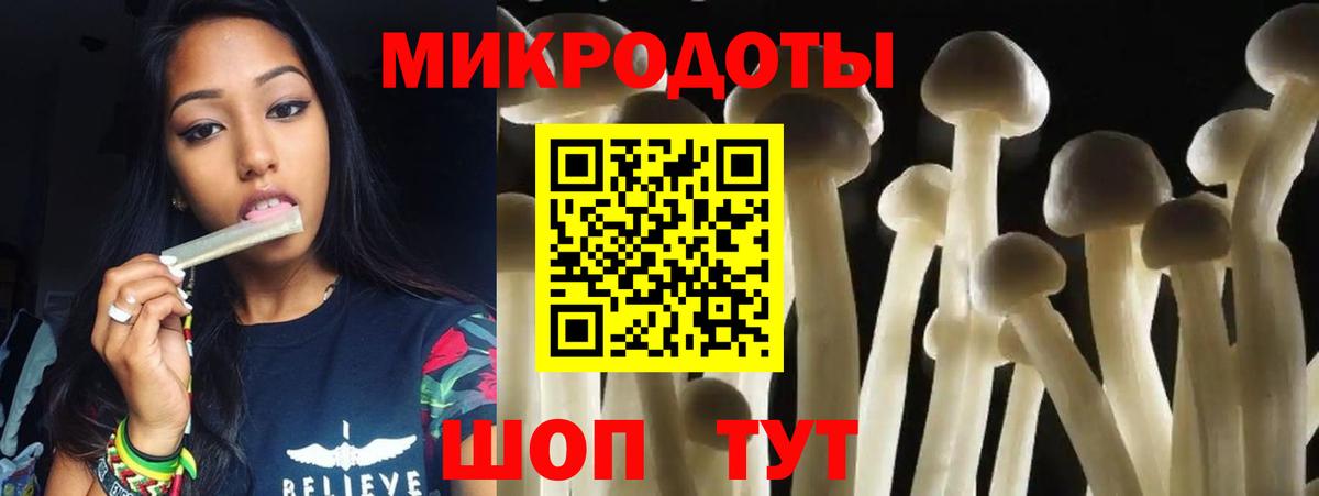 Юрга  Псилоцибиновые грибы Psilocybine cubensis  Вход с VPN 
