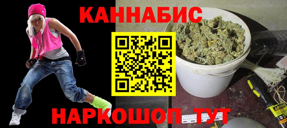 Марихуана сатива Юрга